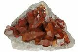 Dark, Red Quartz Crystal Cluster - Morocco #173921-1
